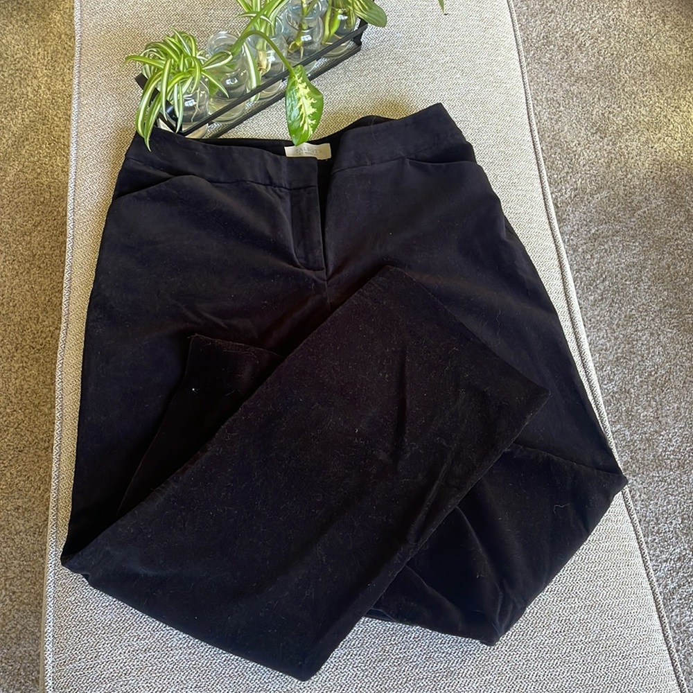 Talbots black (velvet like) pants -Signature brand Sz 10P